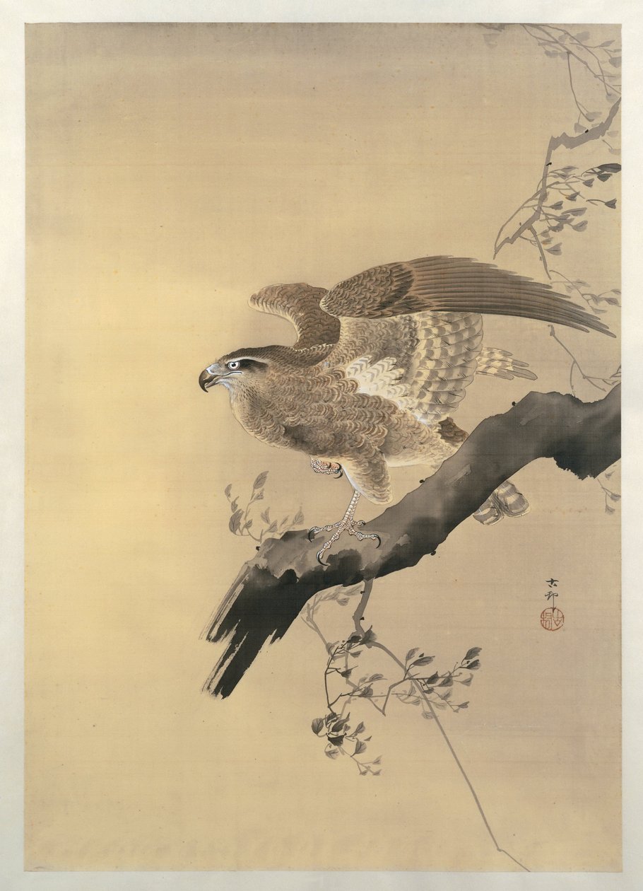 Jestřáb od Ohara Koson
