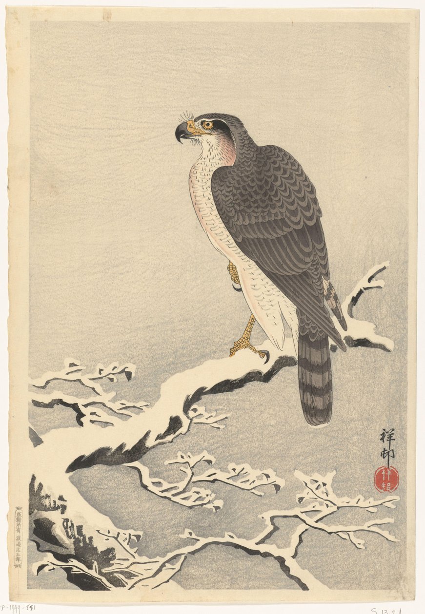 Hawk na zasněžené větvi borovice od Ohara Koson