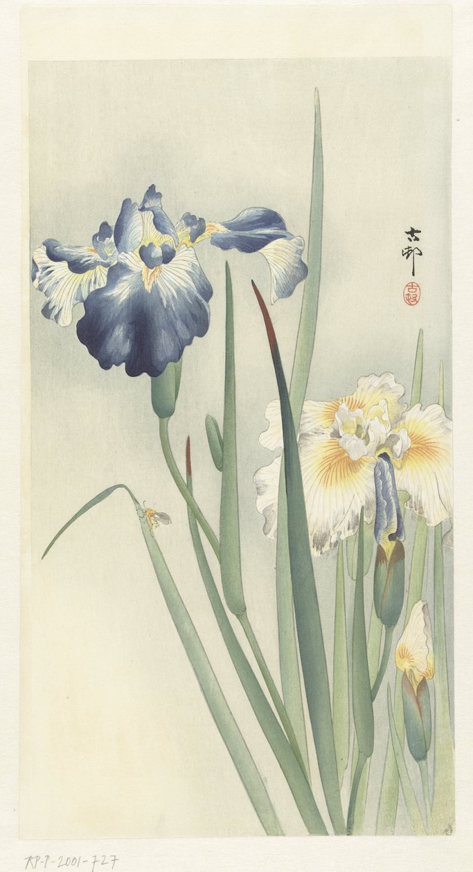 kosatce od Ohara Koson