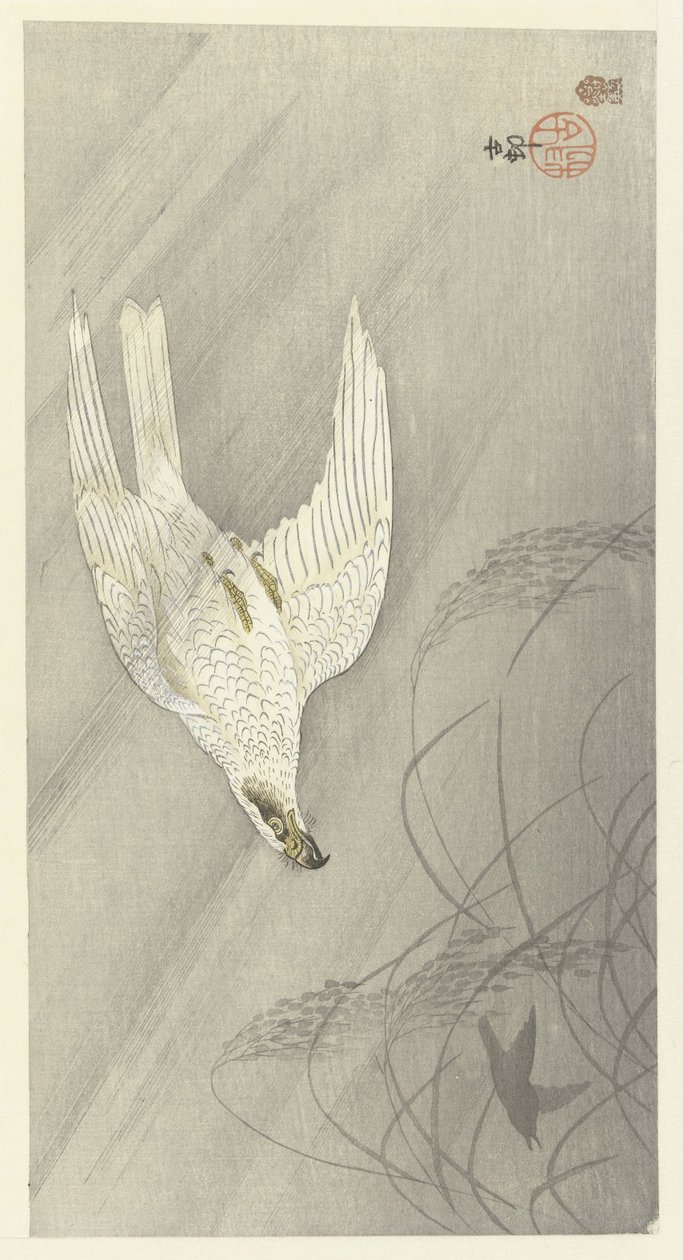 Lovecký jestřáb od Ohara Koson