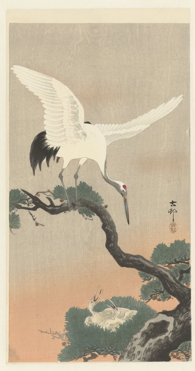 Japonský jeřáb na větvi borovice od Ohara Koson