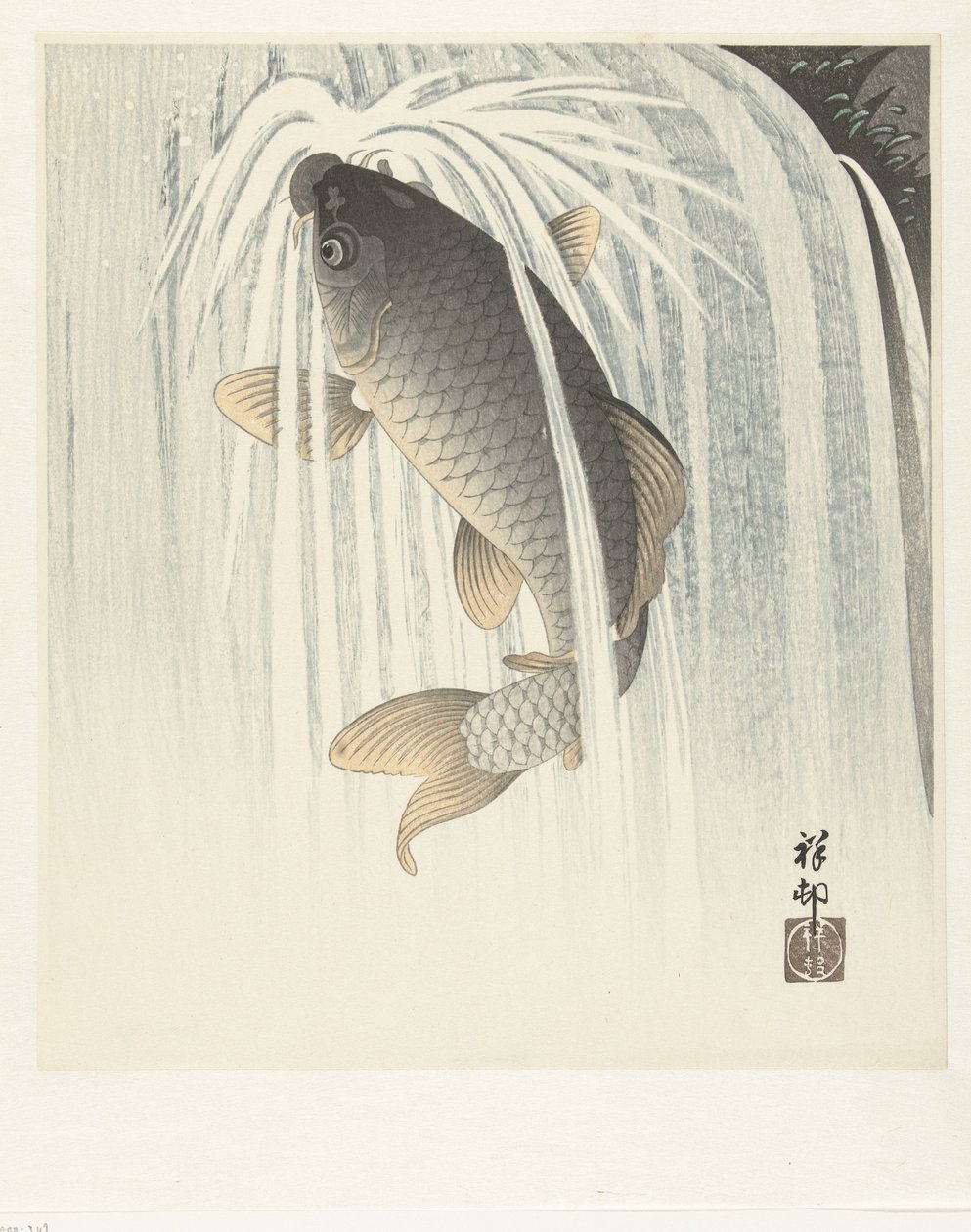 Kapr od Ohara Koson