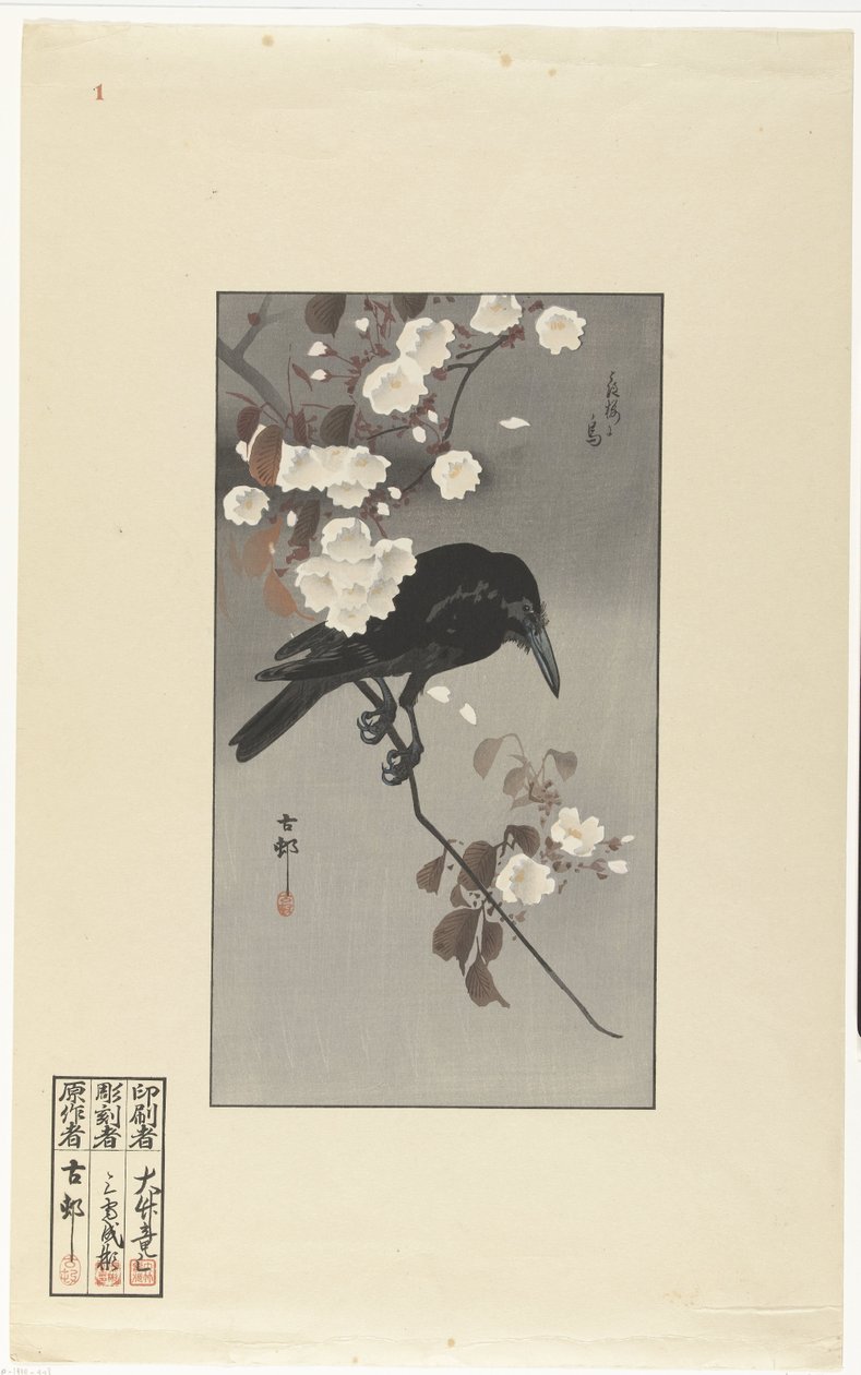 Vrána a třešňový květ Hana sakura no tori (název na objektu) od Ohara Koson
