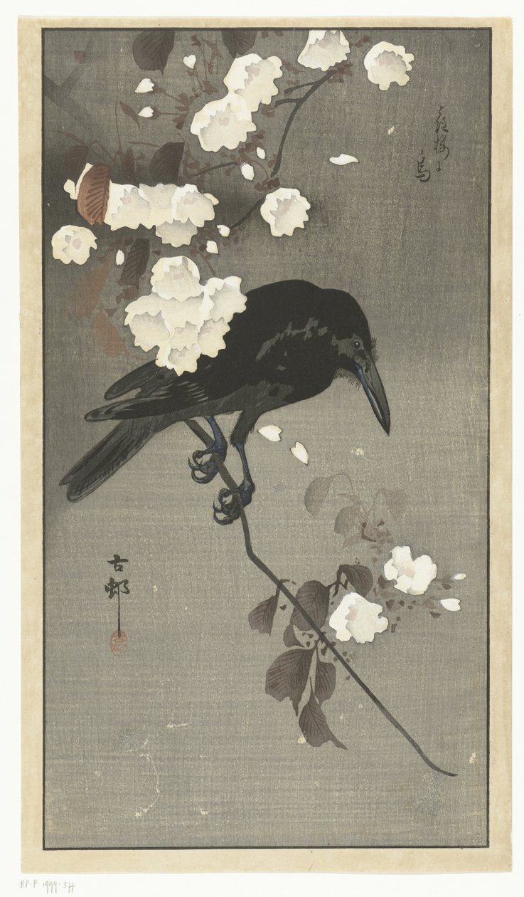 Vrána s třešňovým květem Hana sakura no tori (název na objektu) od Ohara Koson