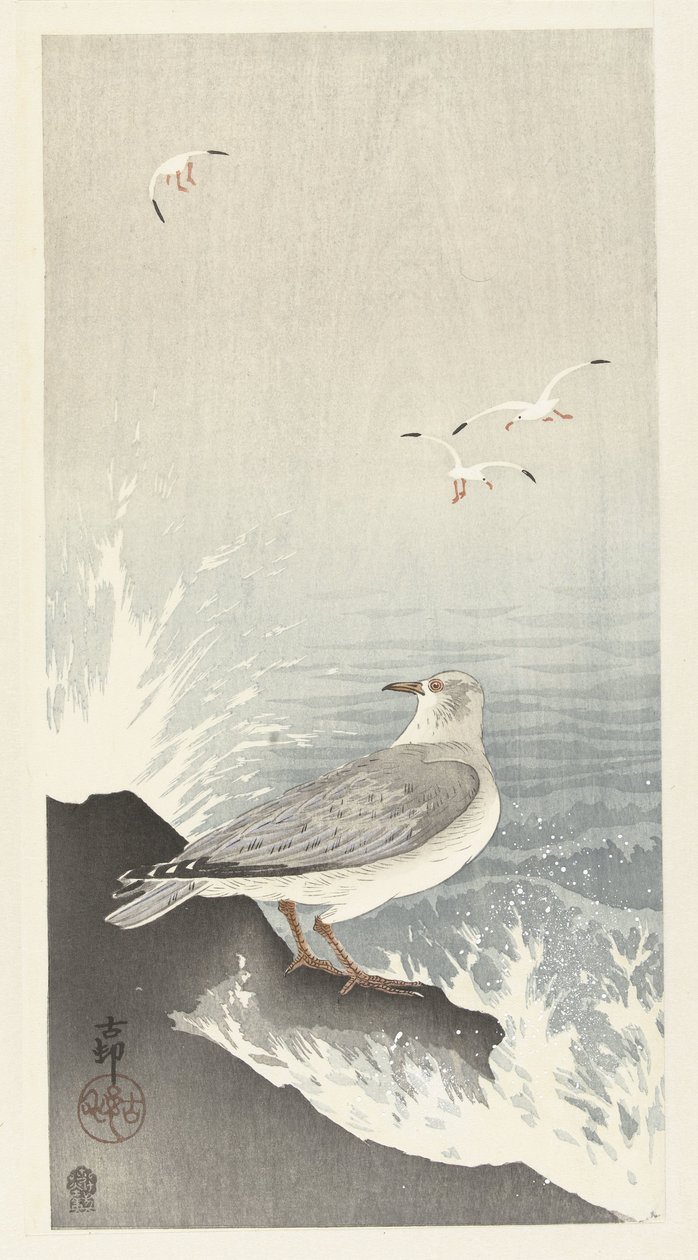 Racek na skále od Ohara Koson