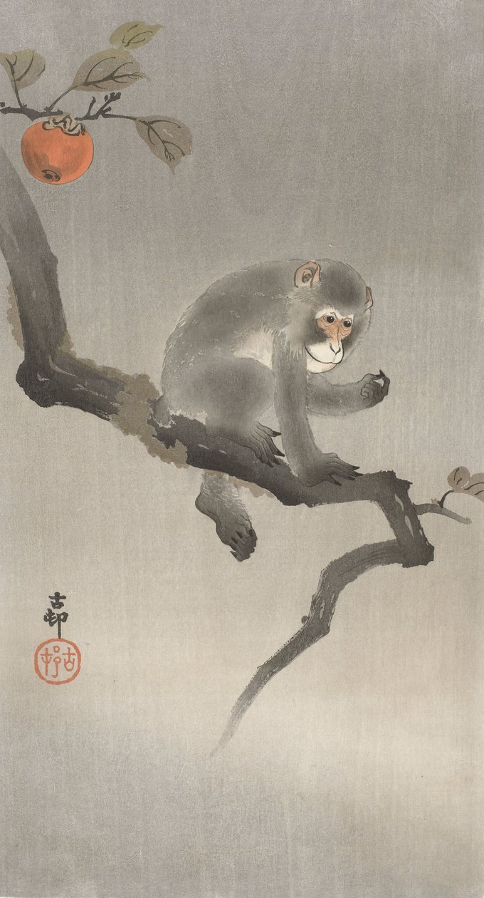 Opice na ovocném stromě, 1900-30 (barevný dřevoryt) od Ohara Koson