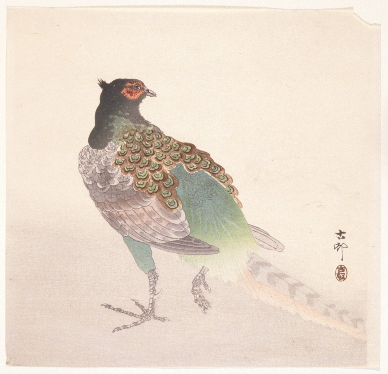 Bažant (barevný dřevotisk) od Ohara Koson
