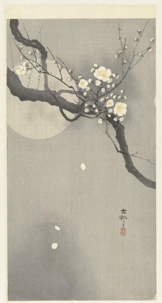 Švestkový květ a úplněk od Ohara Koson