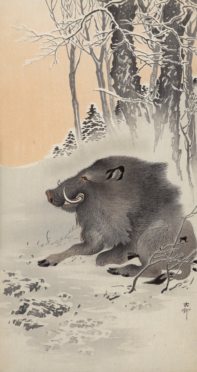 Ležící kanec v zasněžené krajině (barevný dřevotisk) od Ohara Koson