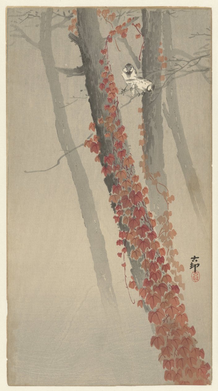 červený břečťan od Ohara Koson