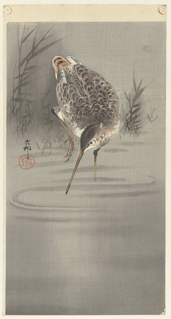Stříhejte ve vodě od Ohara Koson