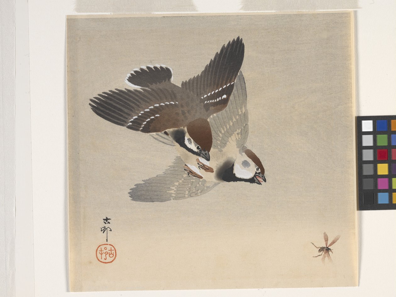 Vrabci honí létající hmyz (barevný dřevotisk) od Ohara Koson