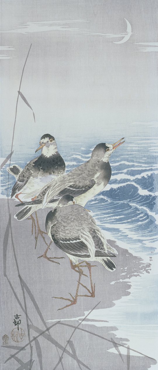 Tři jespáci u vody před rákosím (barevný dřevotisk) od Ohara Koson