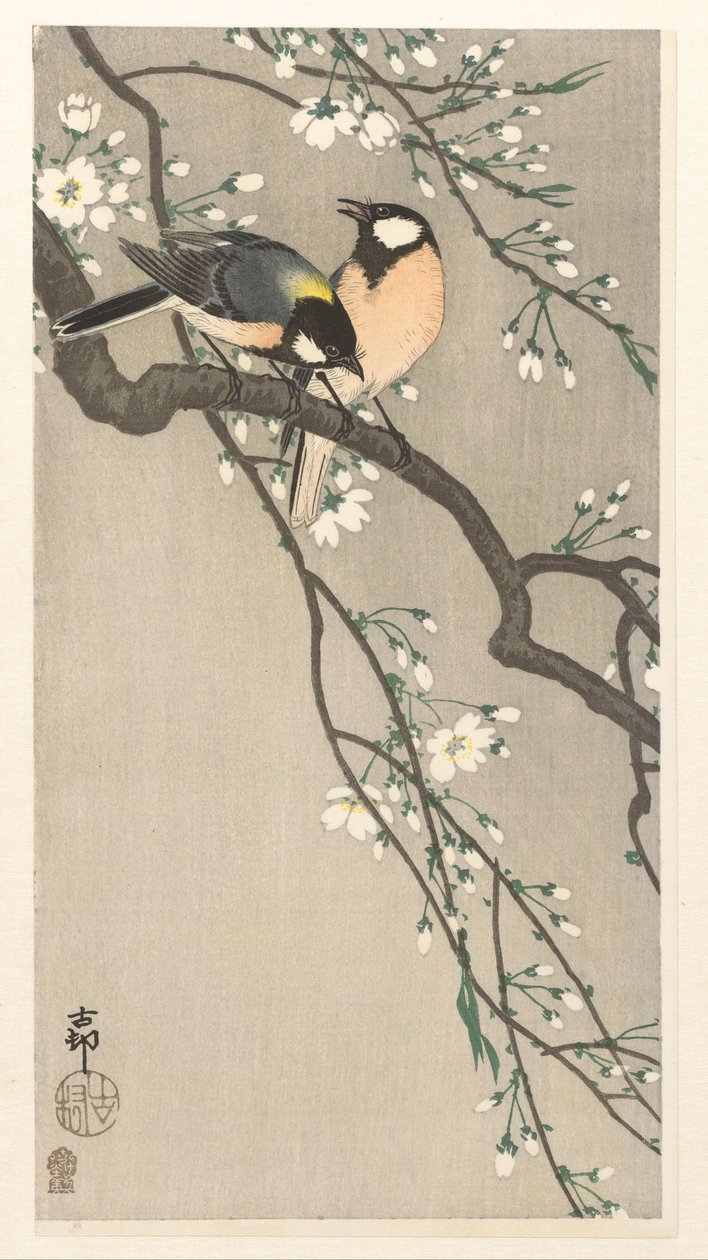 Prsa na Cherry Branch od Ohara Koson