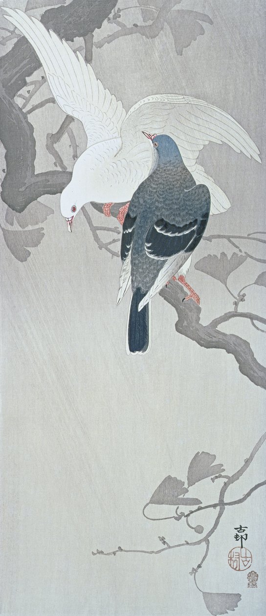 Dvě holubice v dešti na větvi stromu Ginkgo od Ohara Koson