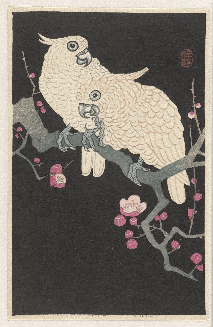 Kaksi kakadua ja luumunkukka od Ohara Koson