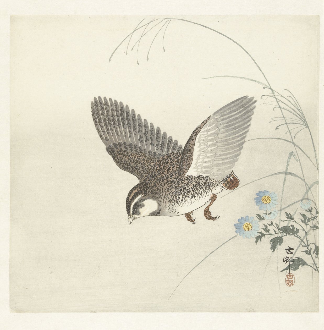 létající křepelka od Ohara Koson