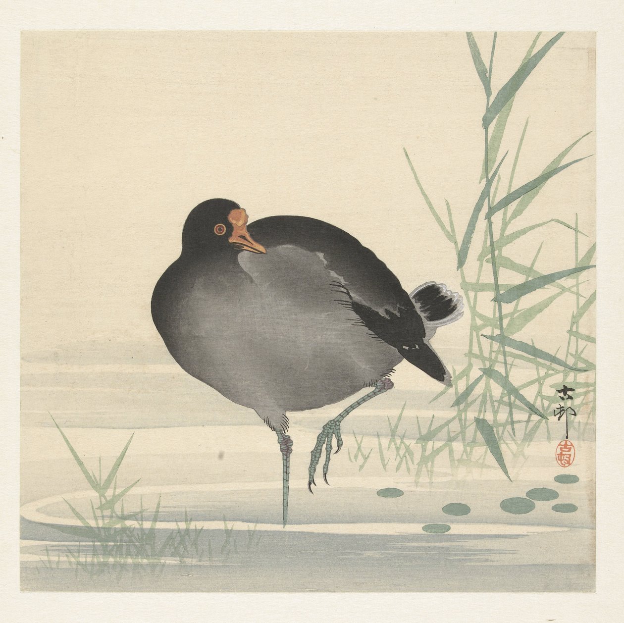 Waterhoen od Ohara Koson