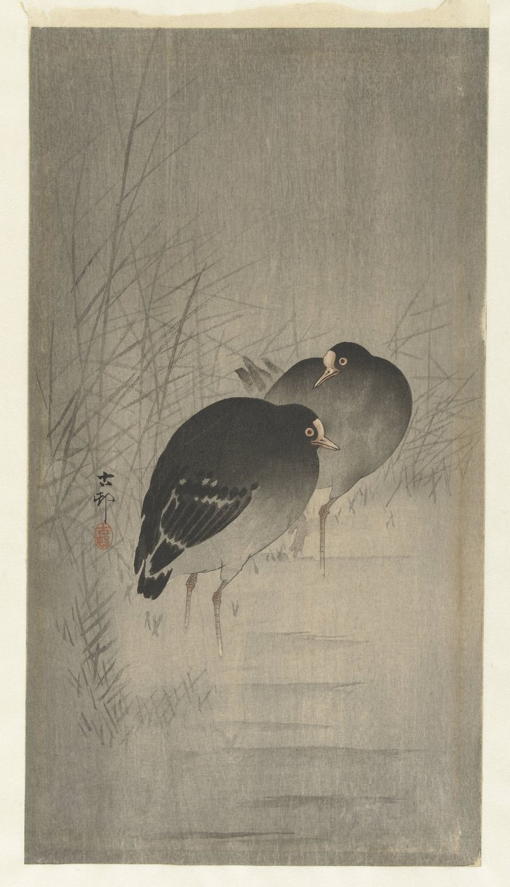 Moorhens mezi rákosím od Ohara Koson