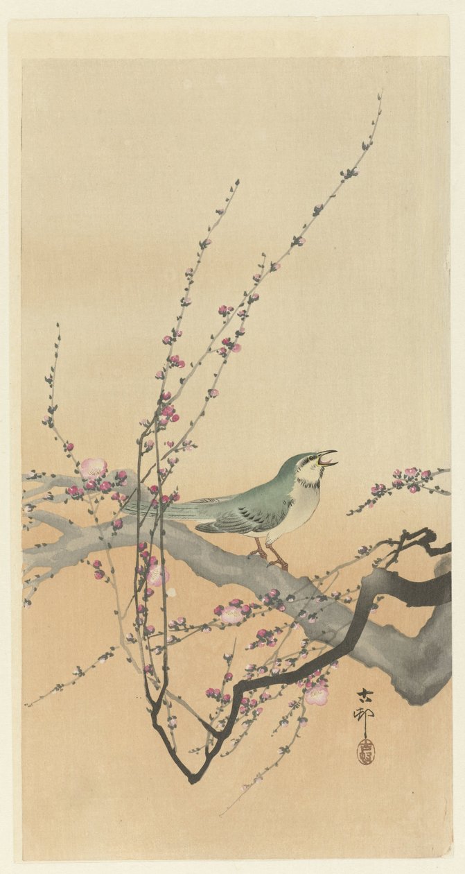 Zpěvák a švestkový květ. od Ohara Koson
