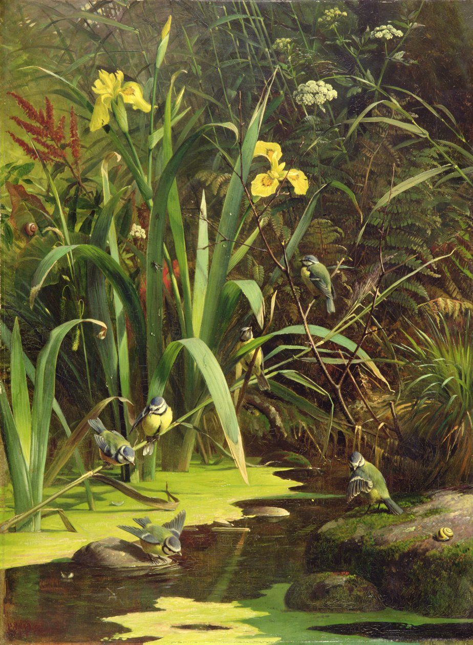 Doba koupele, 1884 od Olaf August Hermansen