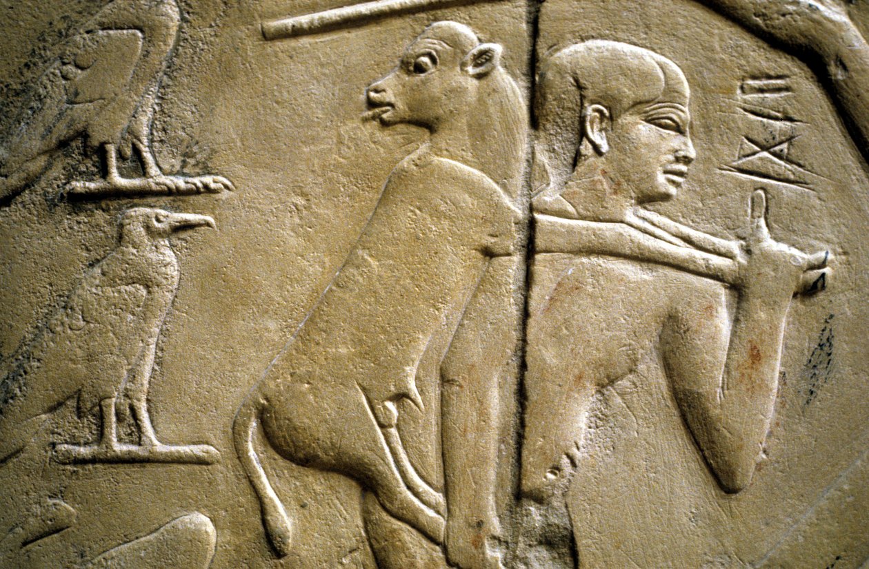 Detail reliéfu zobrazujícího muže nesoucího obětní zvíře od Old Kingdom Egyptian