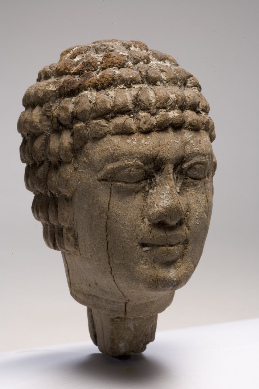 Hlava muže (dřevo) (viz také 249003-5) od Old Kingdom Egyptian