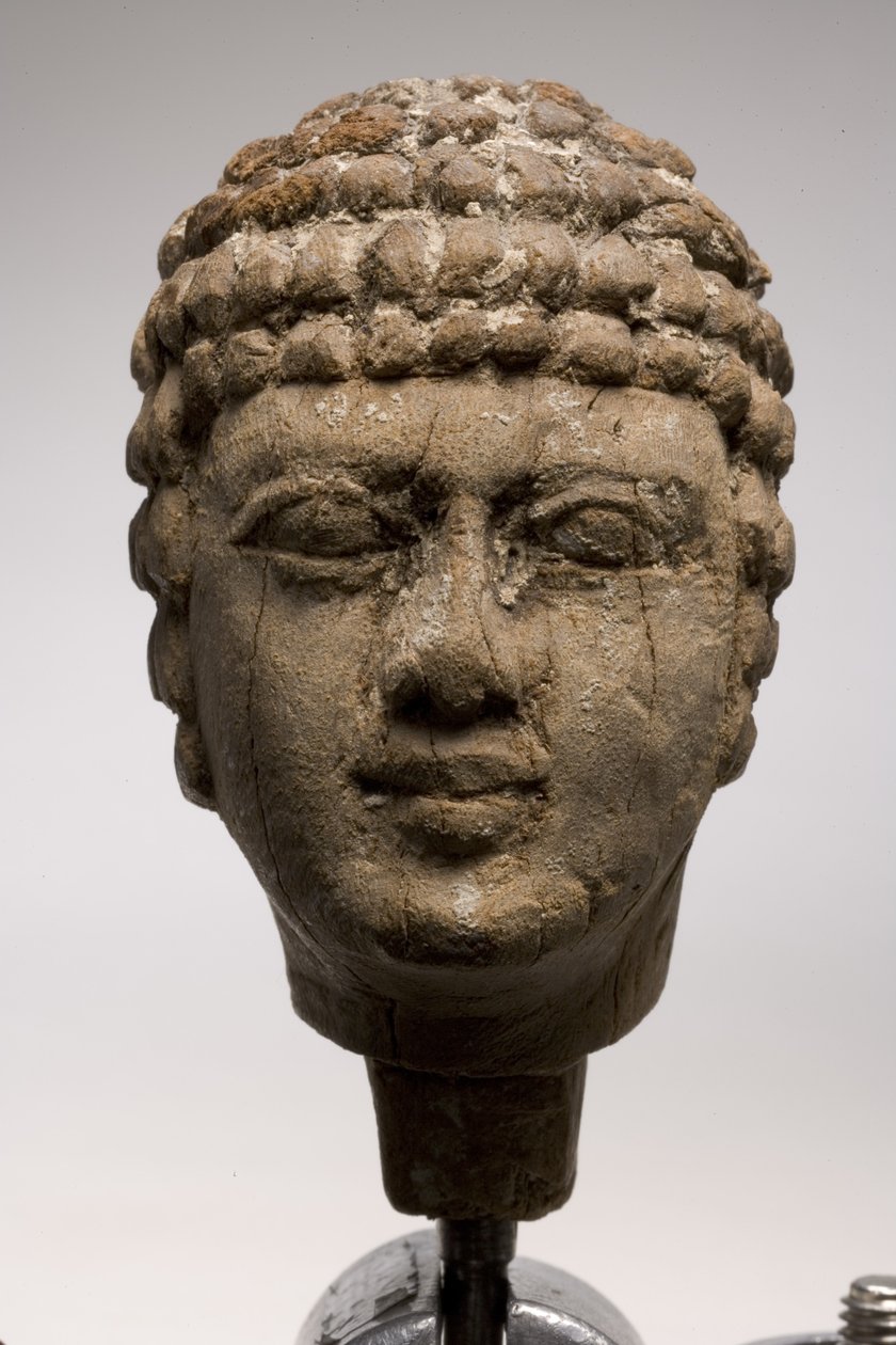 Hlava muže (dřevo) (viz také 249003 a 249005-6) od Old Kingdom Egyptian