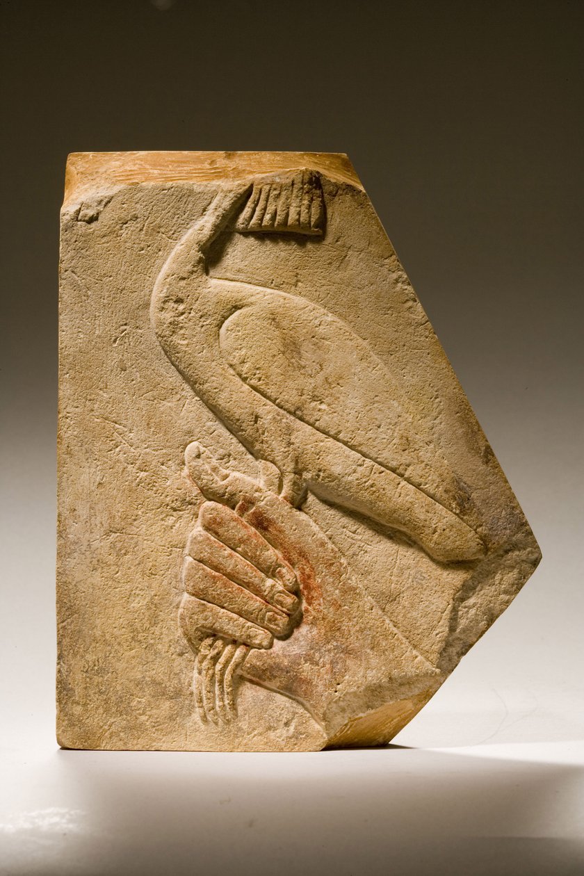 Reliéfní fragment ptáka Akh (vápenec) od Old Kingdom Egyptian