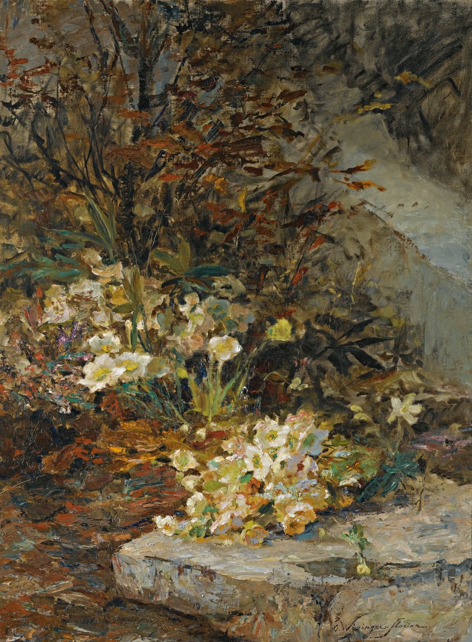 Hellebores od Olga Wisinger Florian