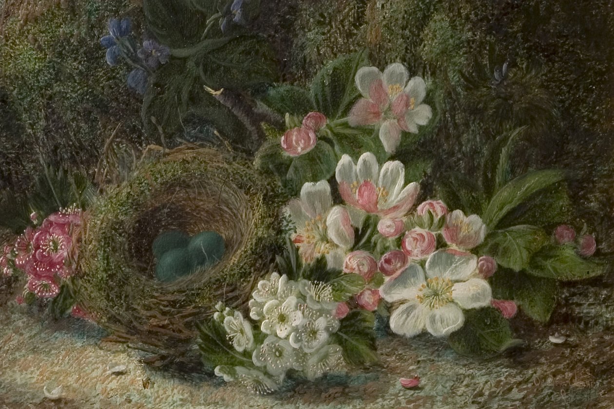 Ptačí hnízdo s květem jablka a hlohu, 1893 od Oliver Clare