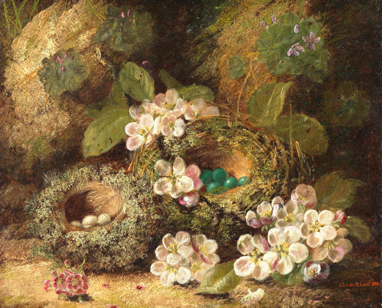 Primrosy a ptačí hnízda na mechovém břehu, 1882 od Oliver Clare