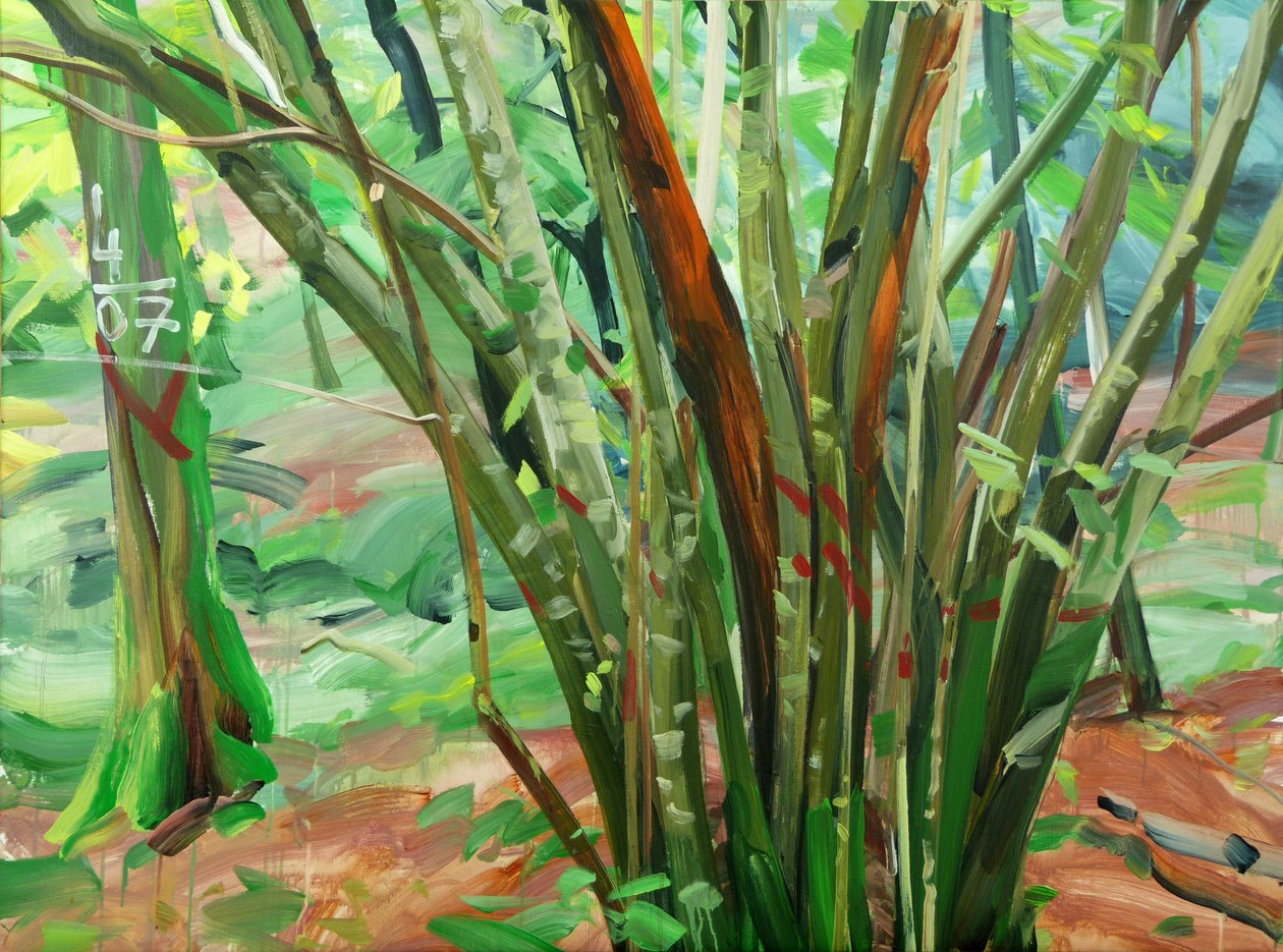 Forest 8 le-9-janvier-2015 ,2015 (akryl na plátně) od Olivier Morel