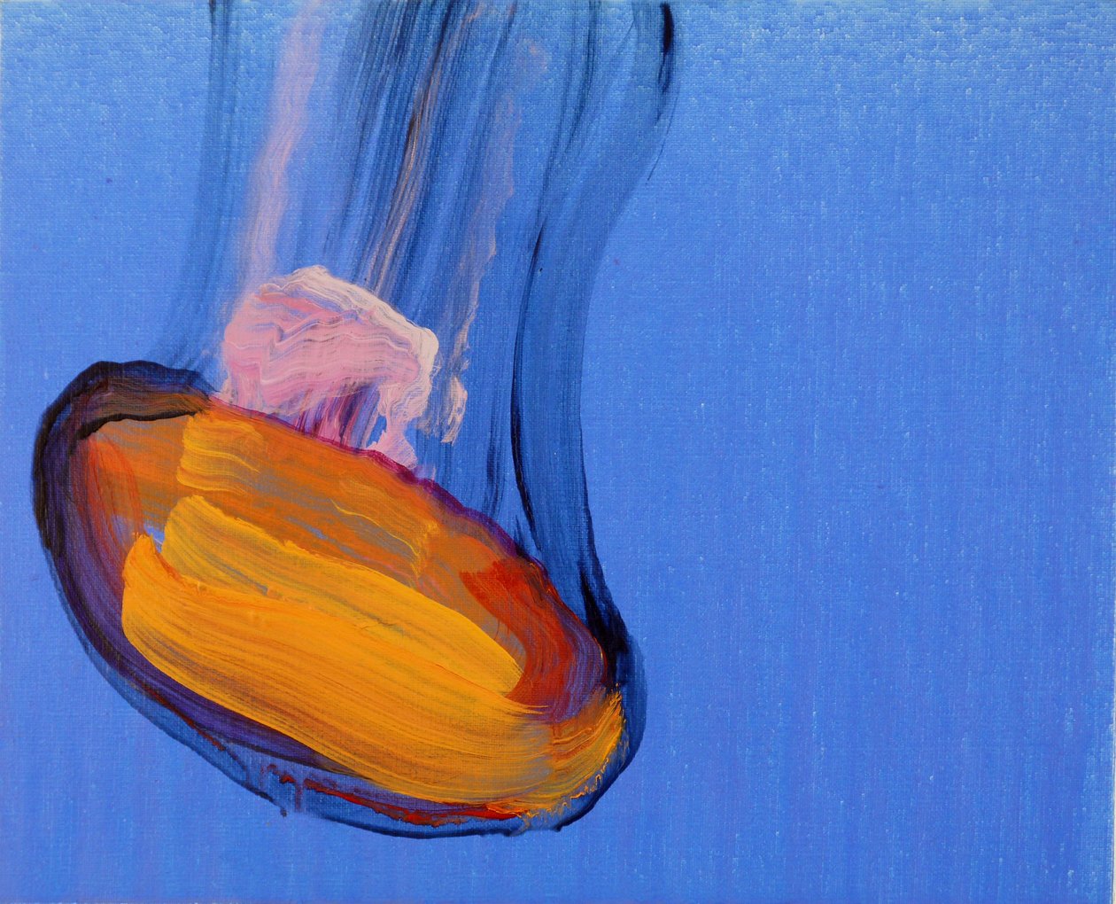 Méduses 10, 2013 (akryl na plátně) od Olivier Morel