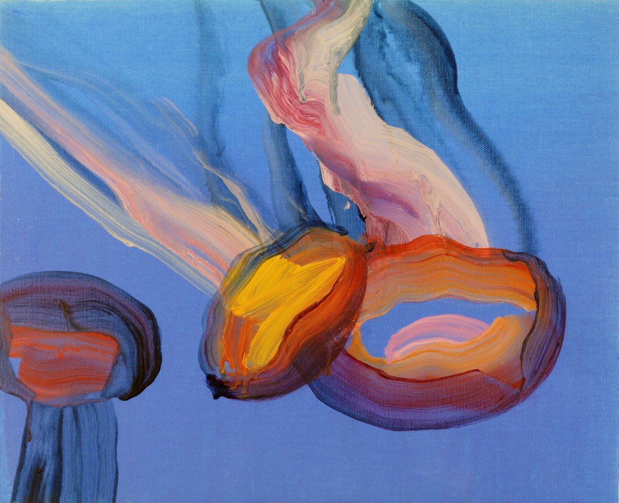 Méduses 11, 2013 (akryl na plátně) od Olivier Morel