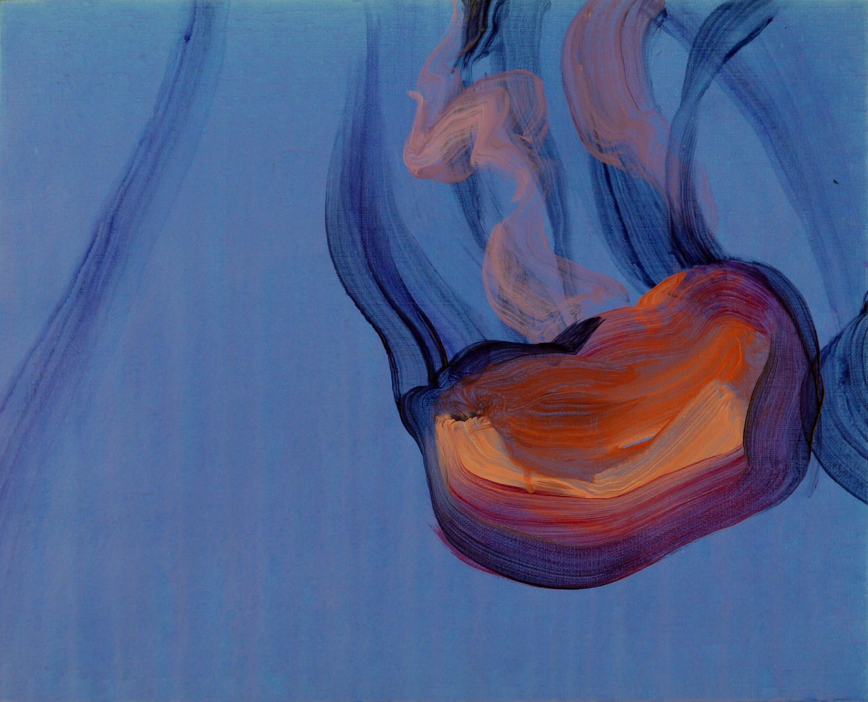 Méduses 5, 2013 (akryl na plátně) od Olivier Morel