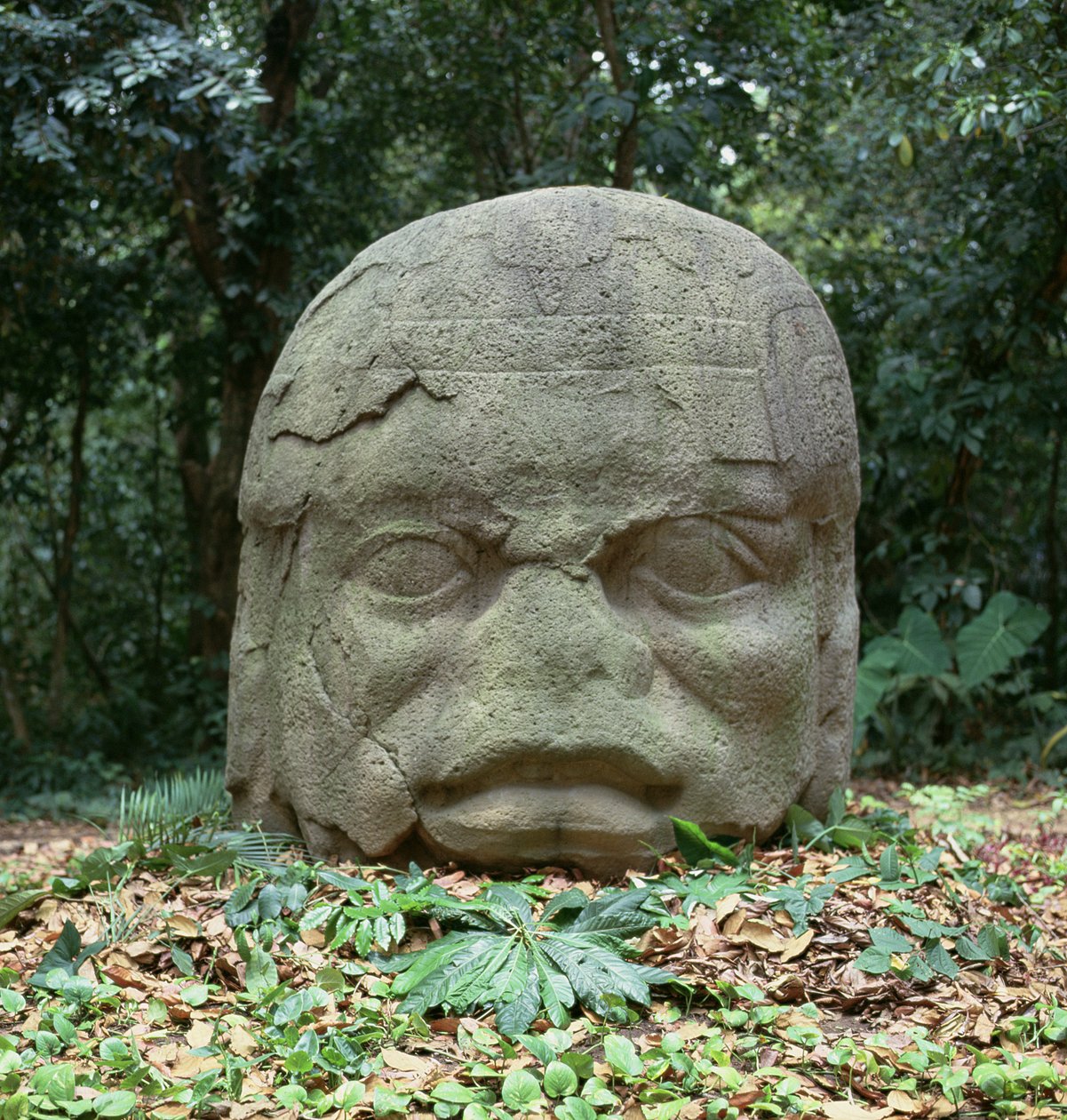 Kolosální hlava 4, předklasické období od Olmec