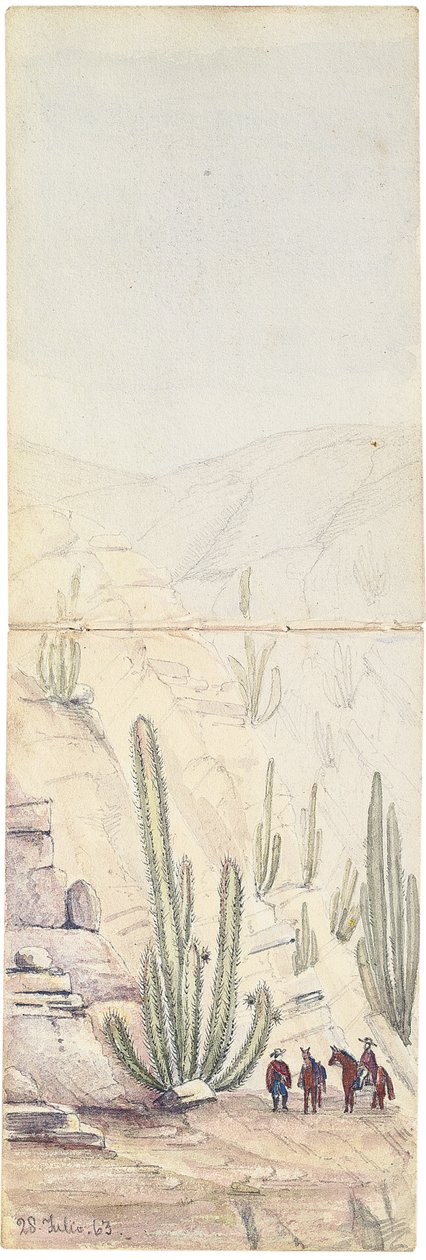 Kaktusy v hlubinách "Quebrada", 1863 od Oswald Younghusband