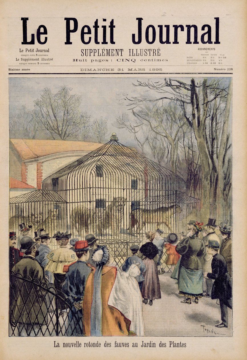Nový dům divoké kočky v Jardin des Plantes, z „Le Petit Journal“, 31. března 1895 od Oswaldo Tofani