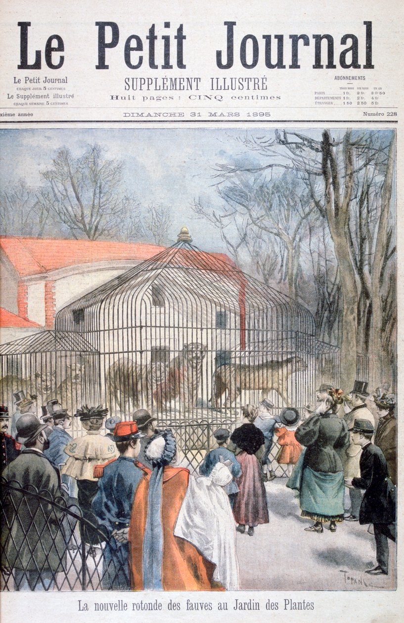 Nový dům divoké kočky v Jardin des Plantes, Paříž, 1895 od Oswaldo Tofani