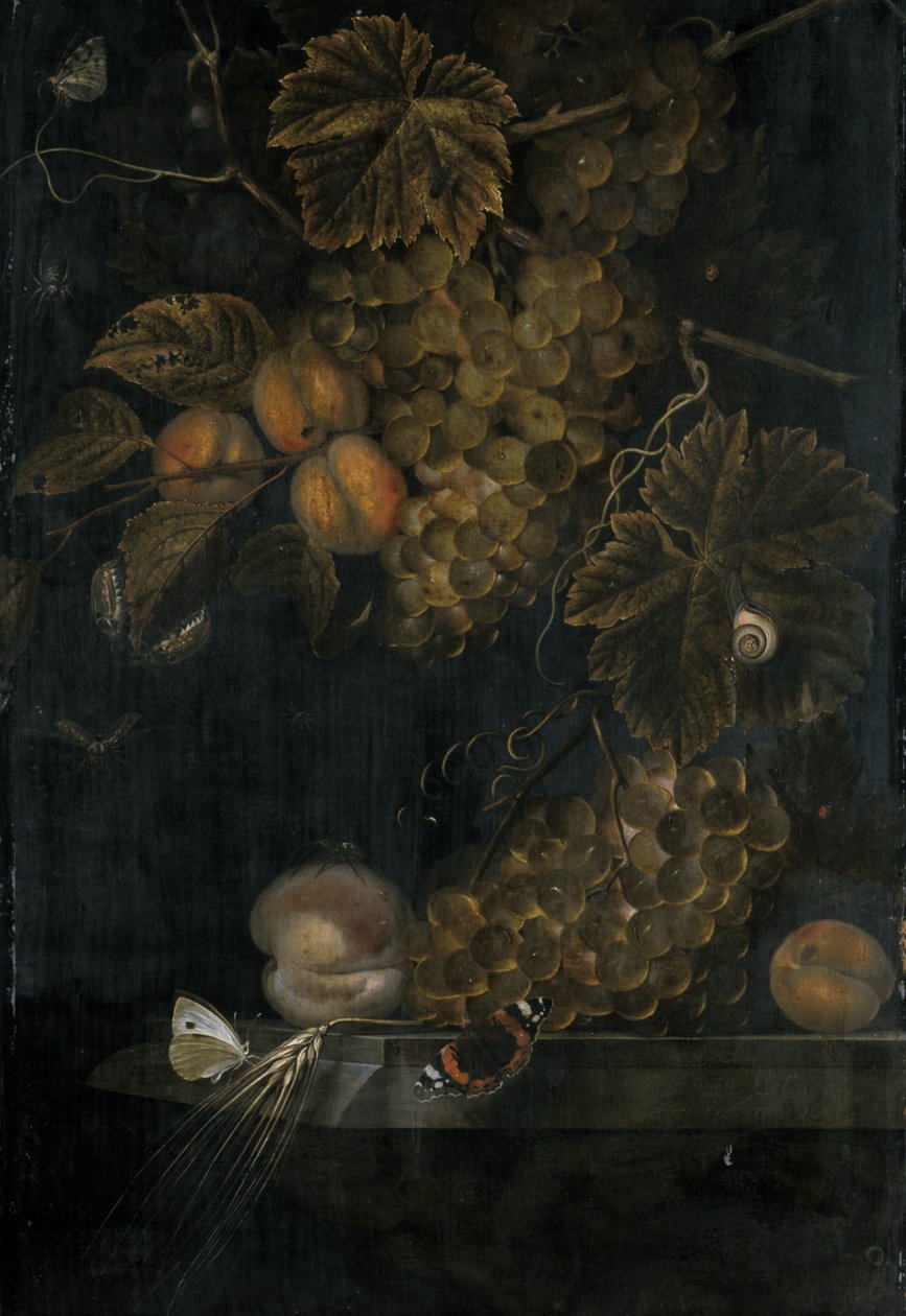 Zátiší s broskvemi a hrozny, 1665 od Ottmar the Elder Elliger