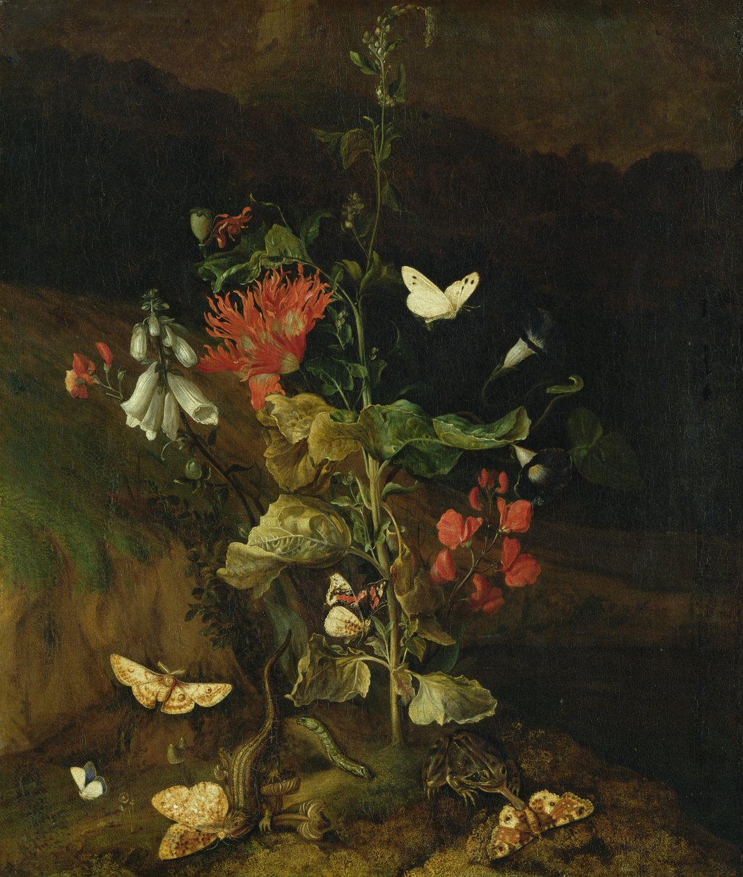 Květinová studie od Otto Marseus  van Schrieck