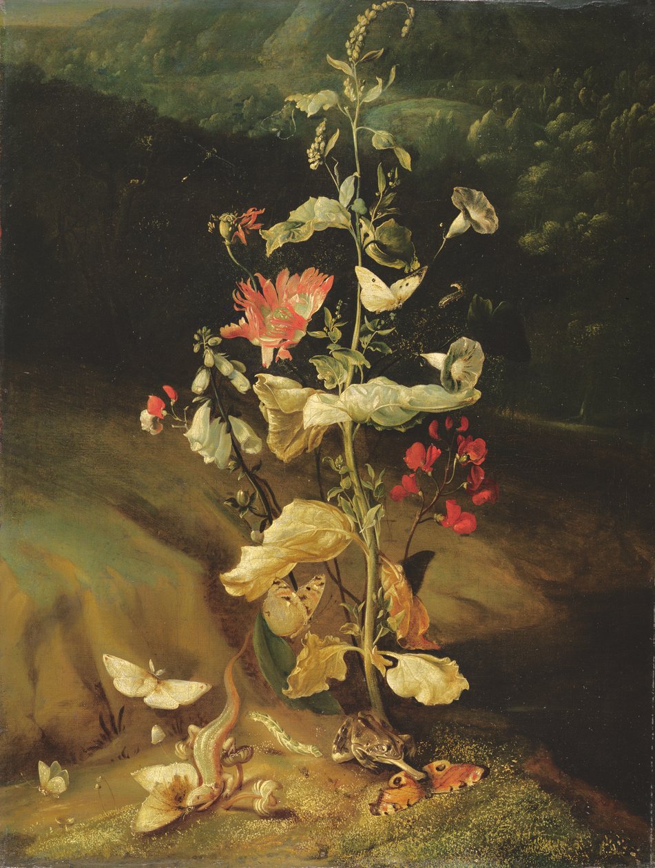Zátiší s květinami od Otto Marseus  van Schrieck