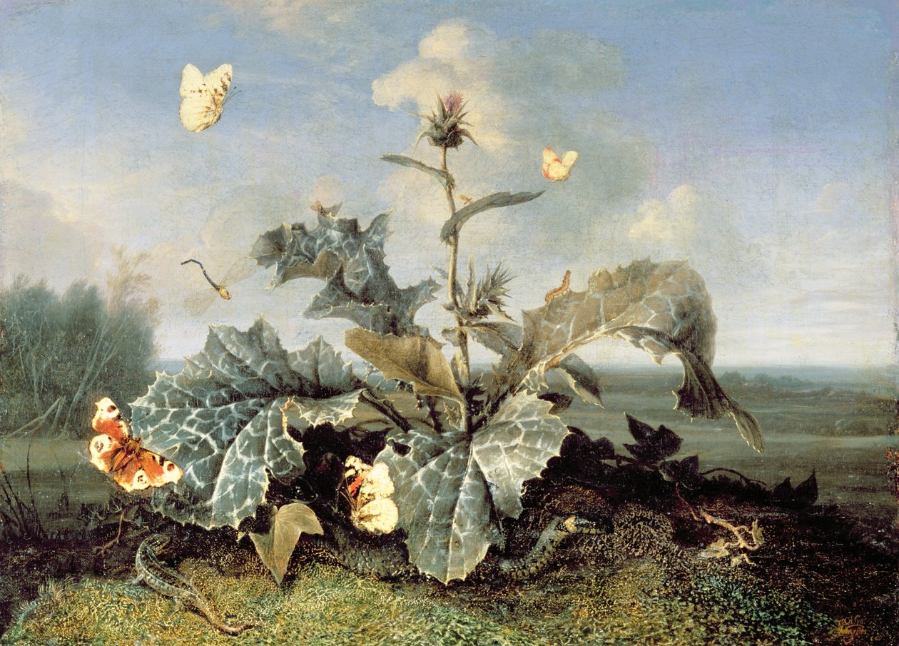 Lopuchový keř od Otto Marseus  van Schrieck