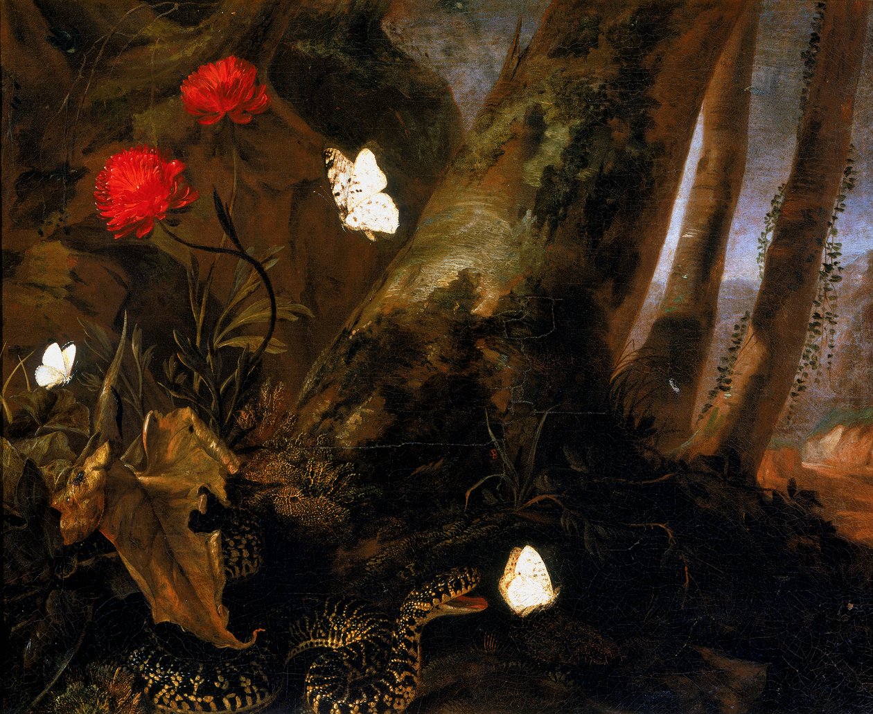 Podrost se zvířaty od Otto Marseus  van Schrieck