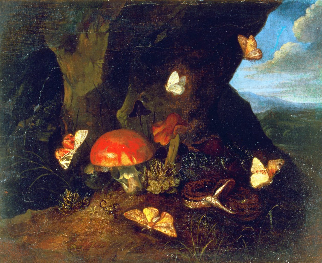 Podrost a divoká zvěř od Otto Marseus  van Schrieck