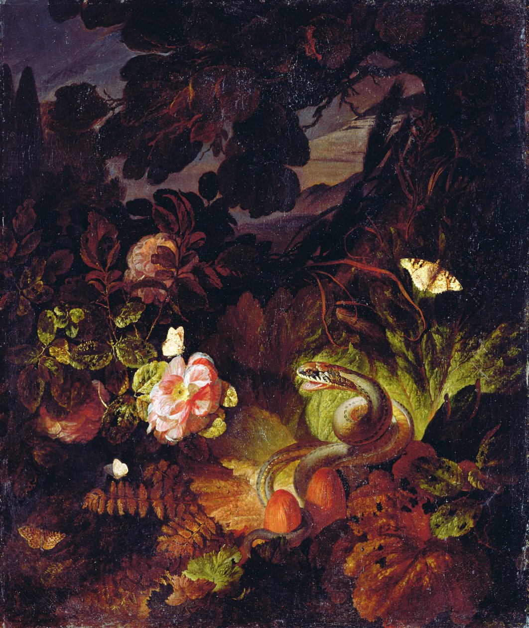 Květiny, had a motýli od Otto Marseus  van Schrieck
