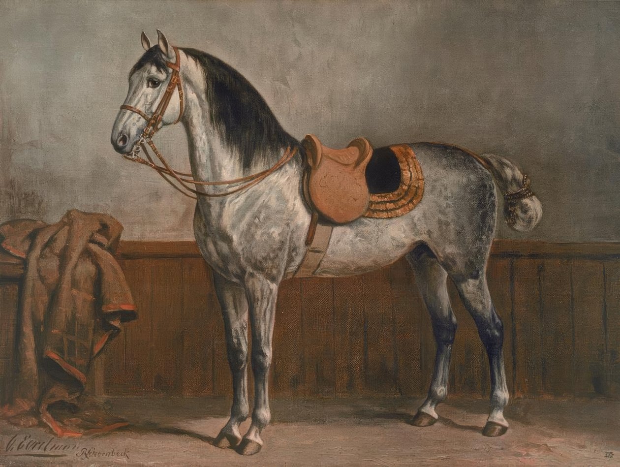 lipicán od Otto Eerelman