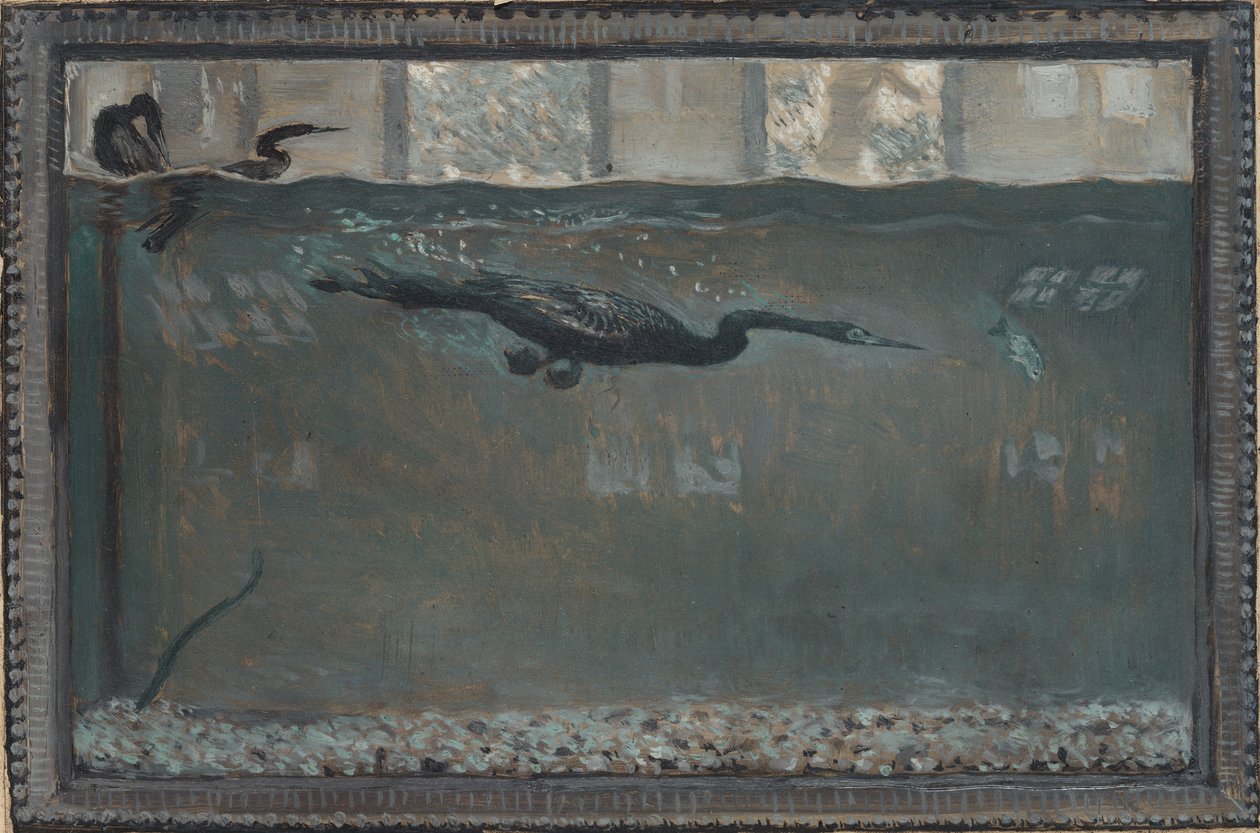 Potápěčský kormorán, 1900. od Otto H. Bacher
