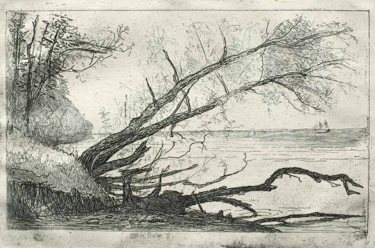 Old Sycamore, 1877. od Otto H. Bacher